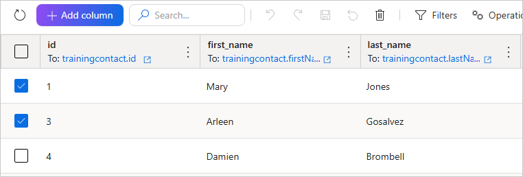 Data set in edit mode with the checkboxes selected for two source records, and the delete icon in the toolbar